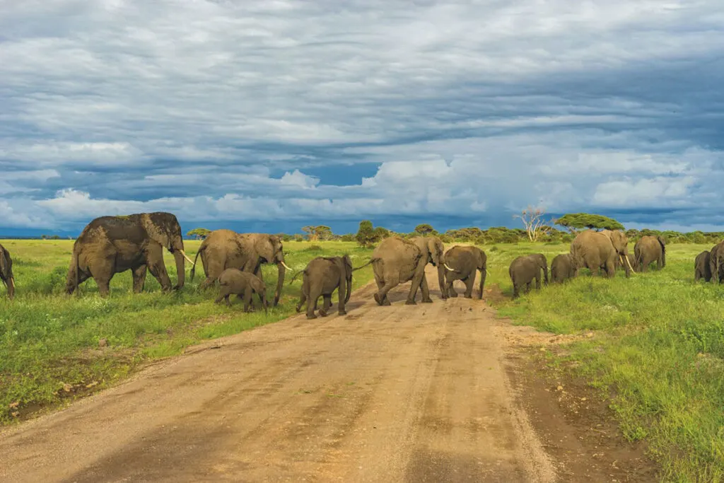 Luambe National Park