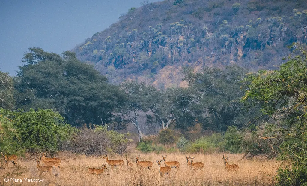 Nsumbu National Park