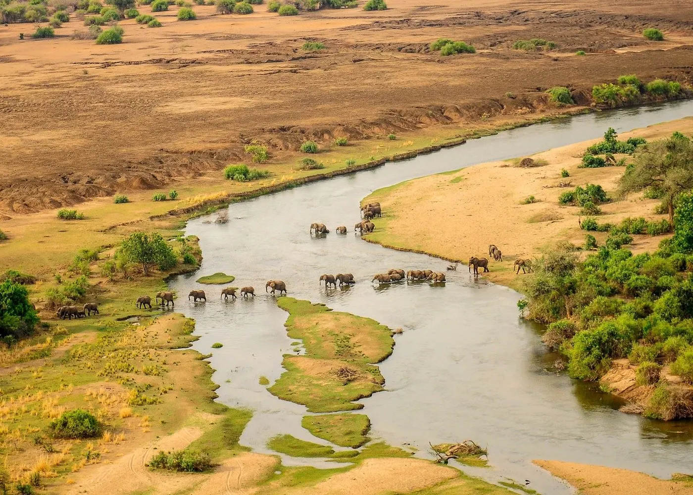 Lower Zambezi National Park