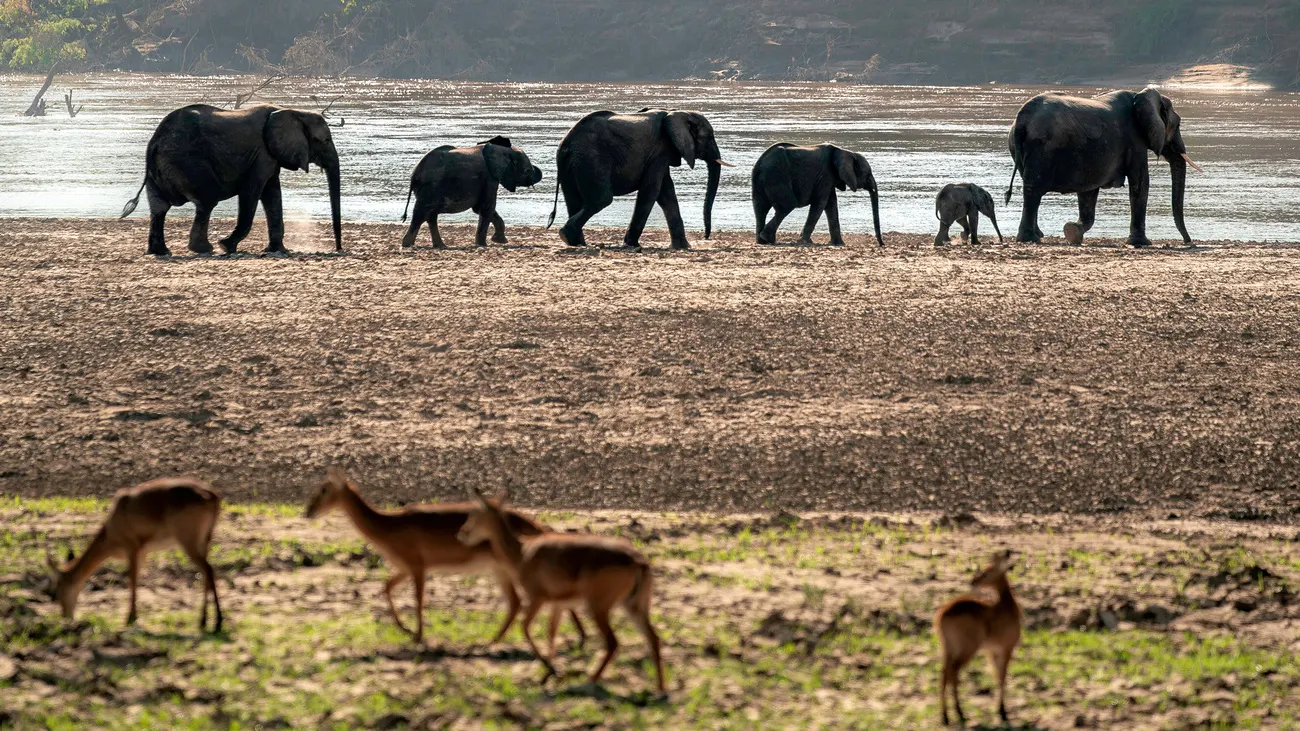 Lukusuzi National Park