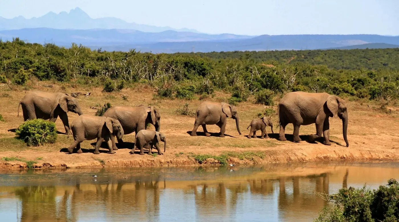 Lusaka National Park