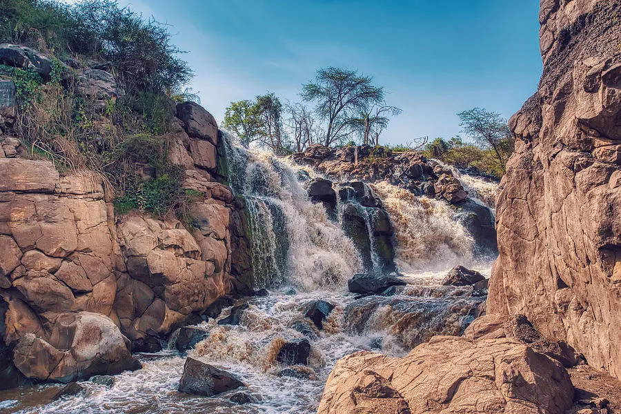 Awash National Park
