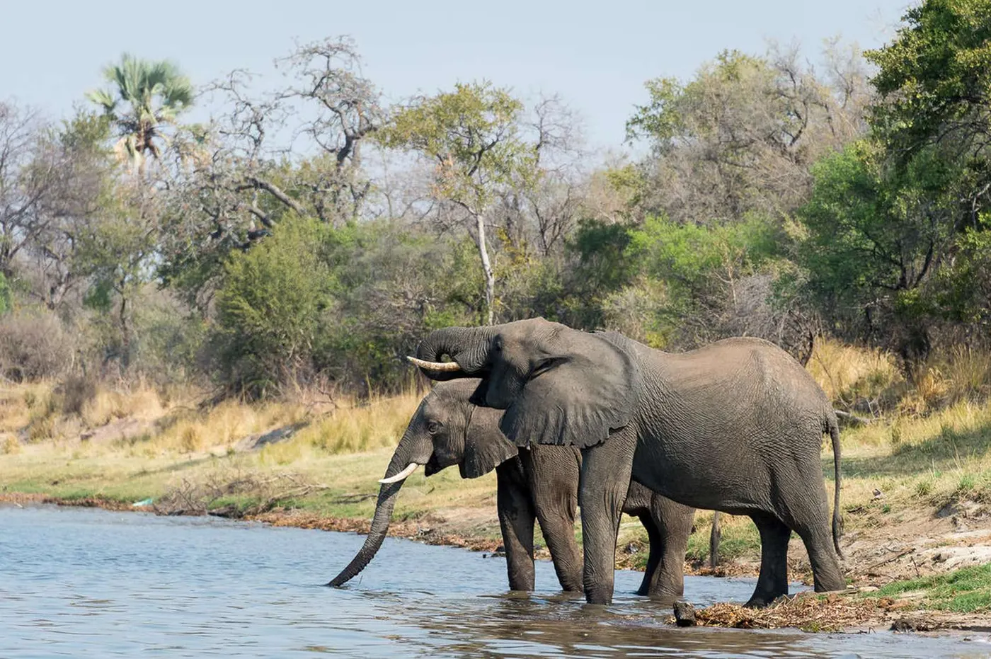 Mosi-oa-Tunya National Park