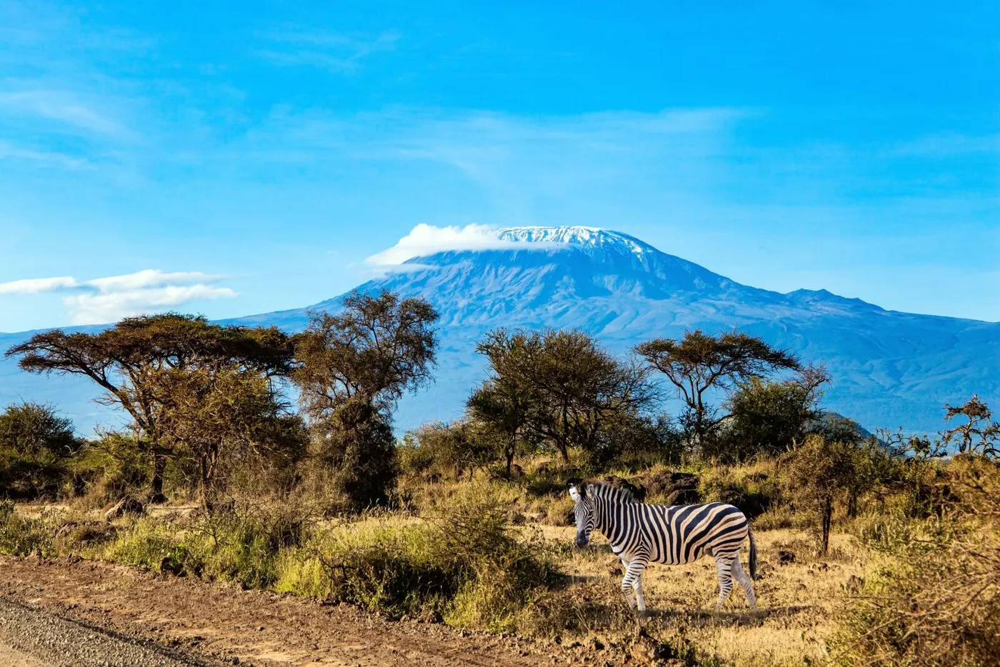 Kilimanjaro National Park