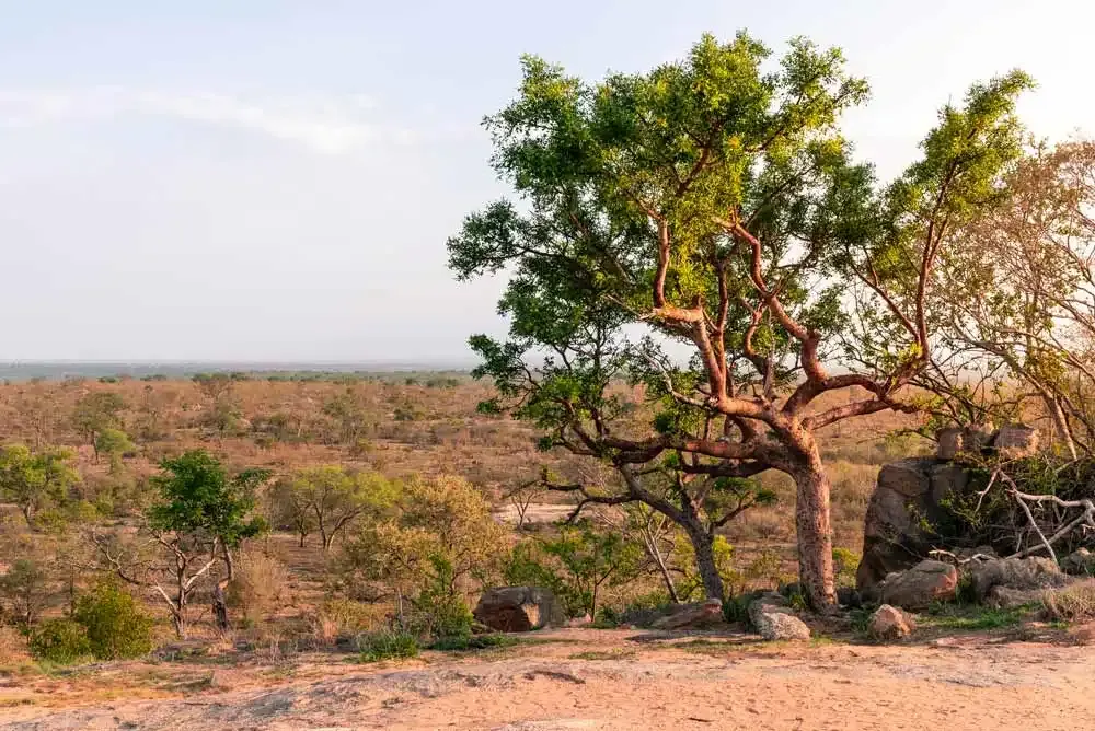 Mweru Wantipa National Park
