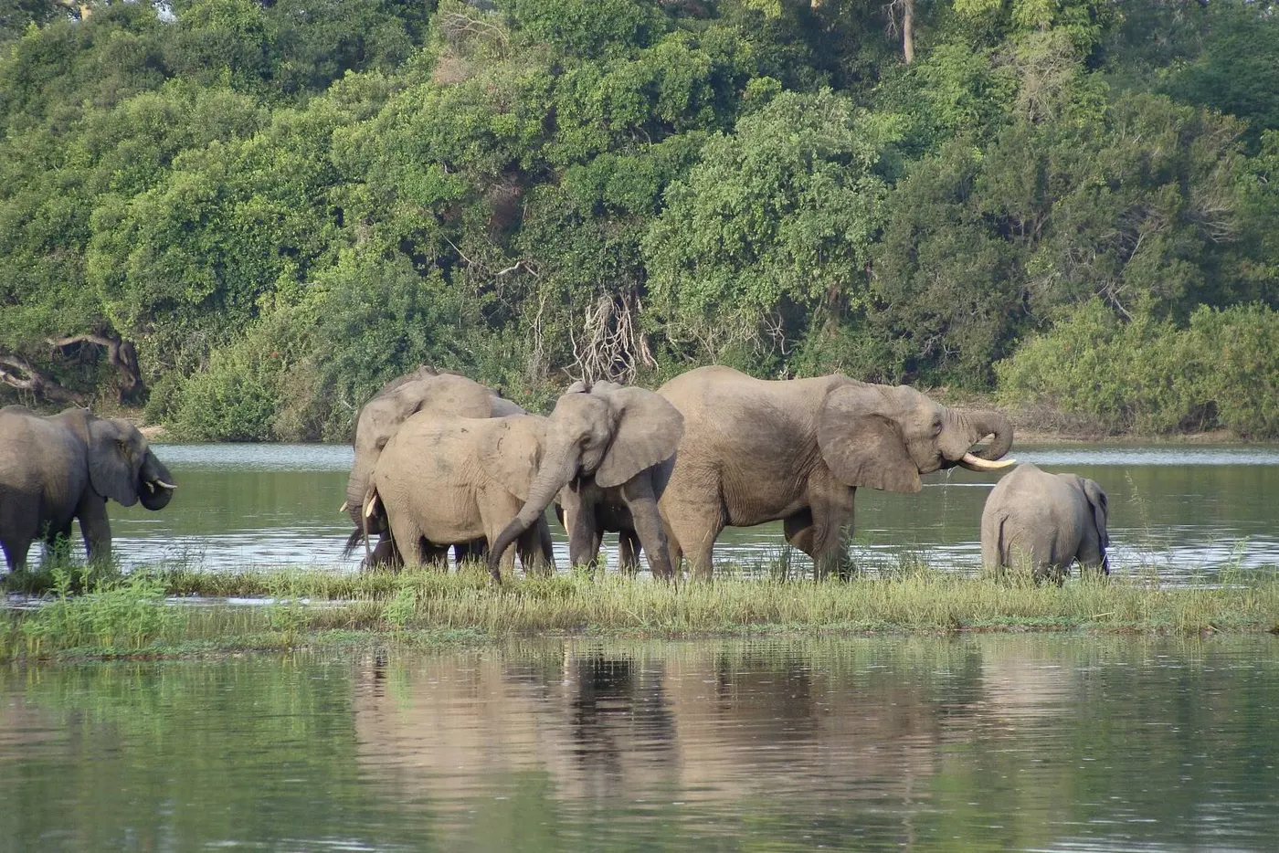 Nyerere National Park