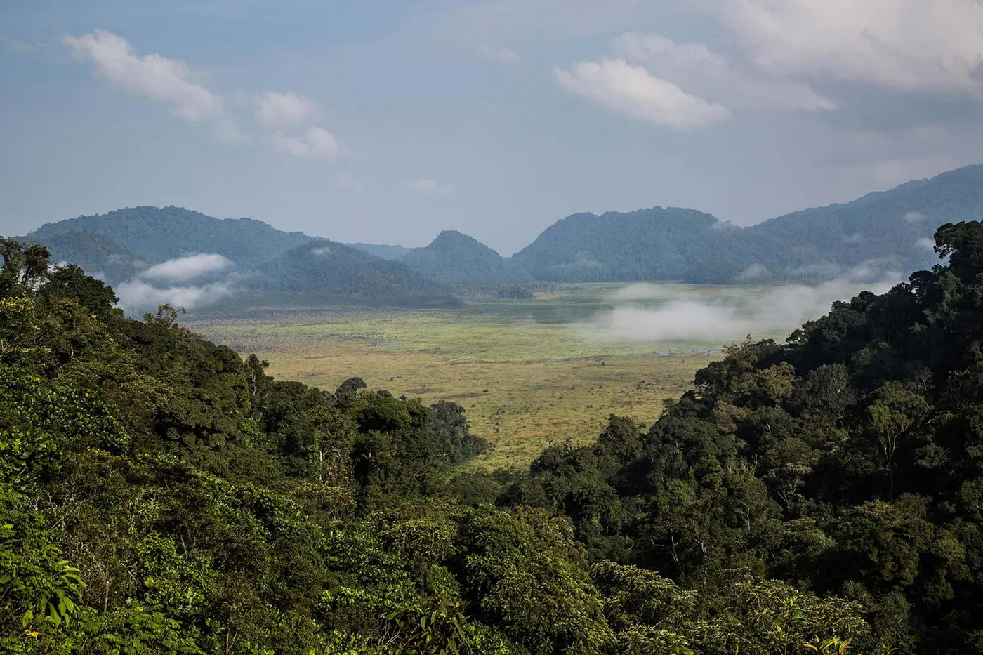 Nyungwe National Park