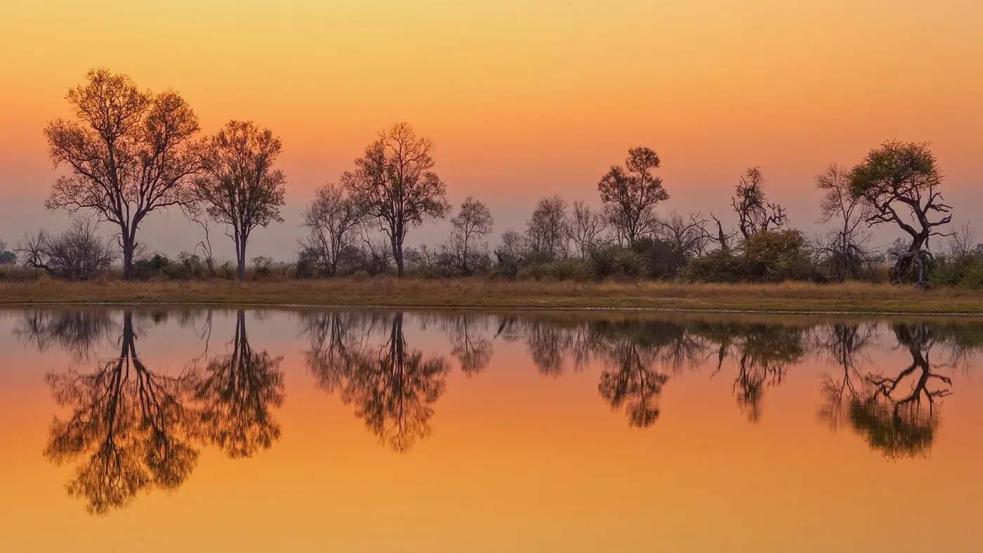 Moremi Game Reserve