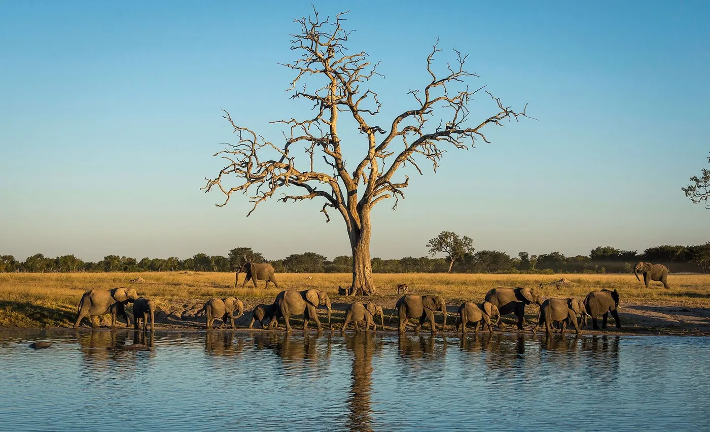 Hwange National Park