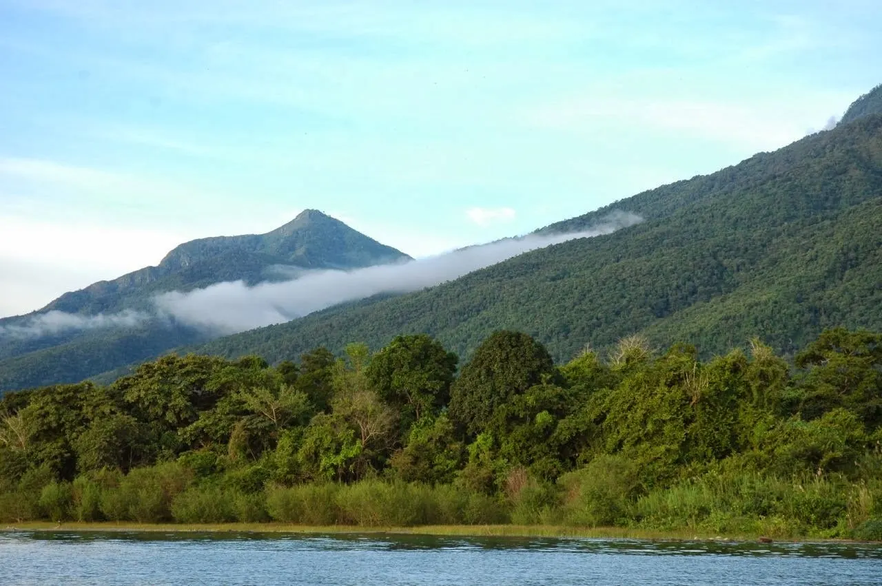 Gombe Stream National Park