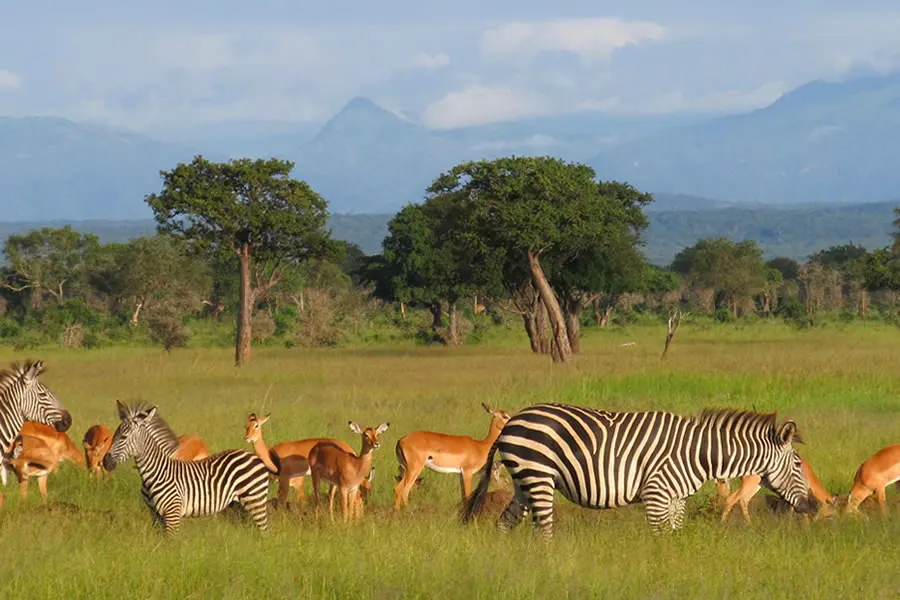 Ibanda-Kyerwa National Park