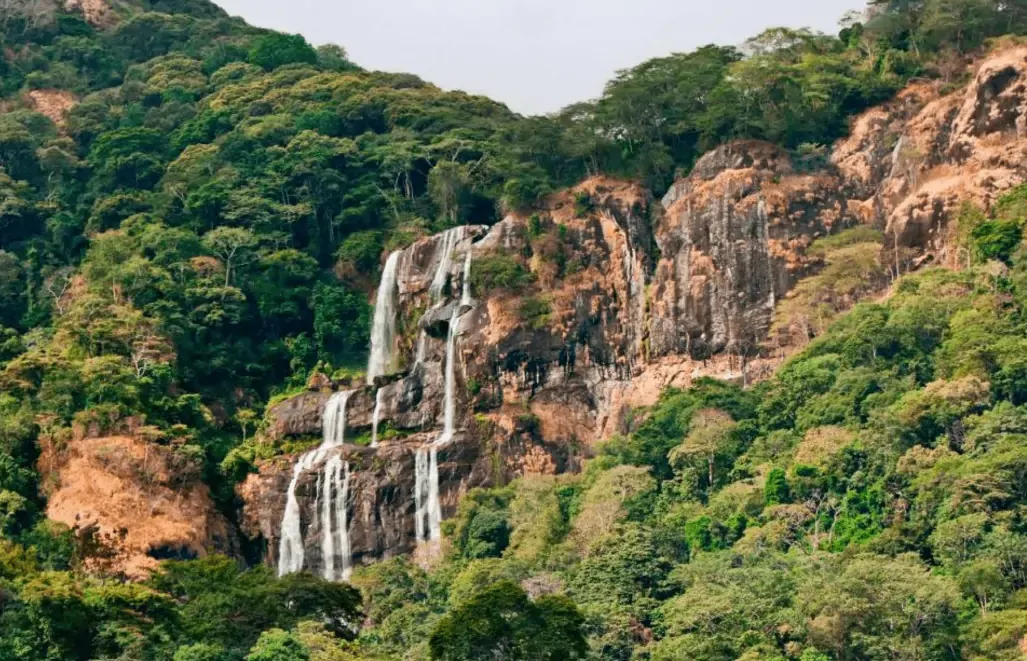 Udzungwa Mountains National Park