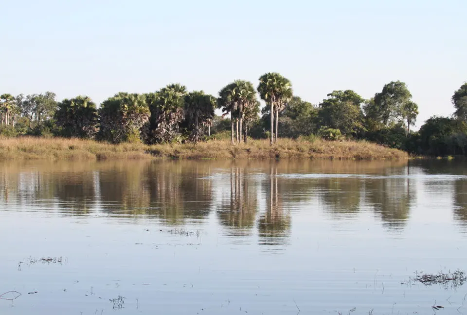 Ugalla River National Park