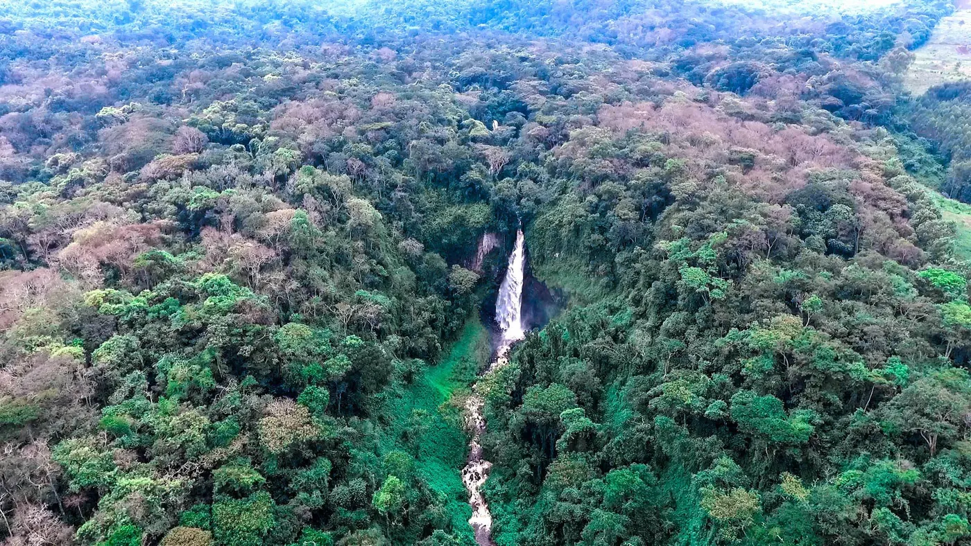 Kahuzi Biega National Park