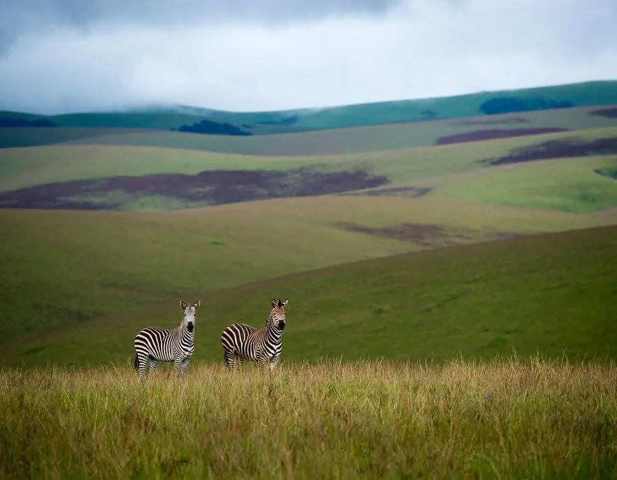 Nyika National Park