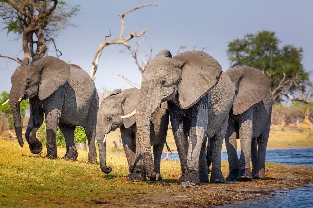 Bwabwata National Park