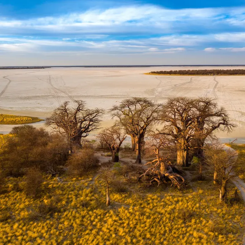 Nxai Pan National Park