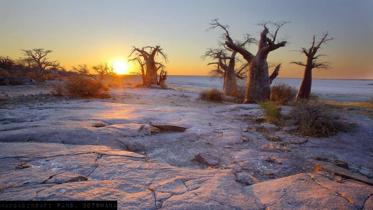 Makgadikgadi Pans National Park