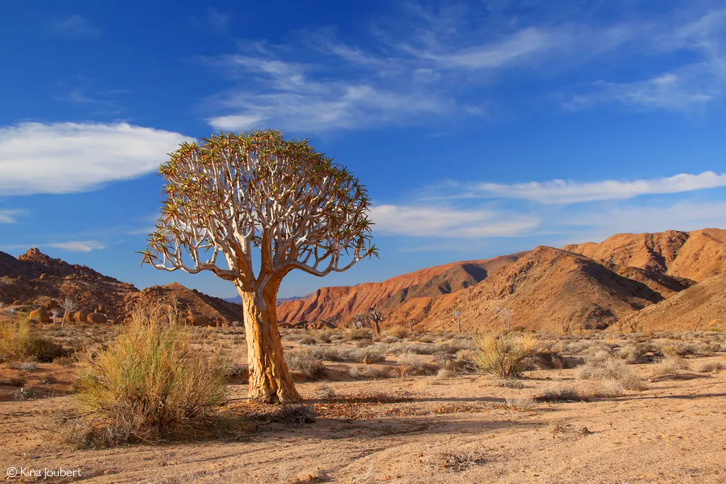 Ai-Ais Richtersveld Transfrontier Park