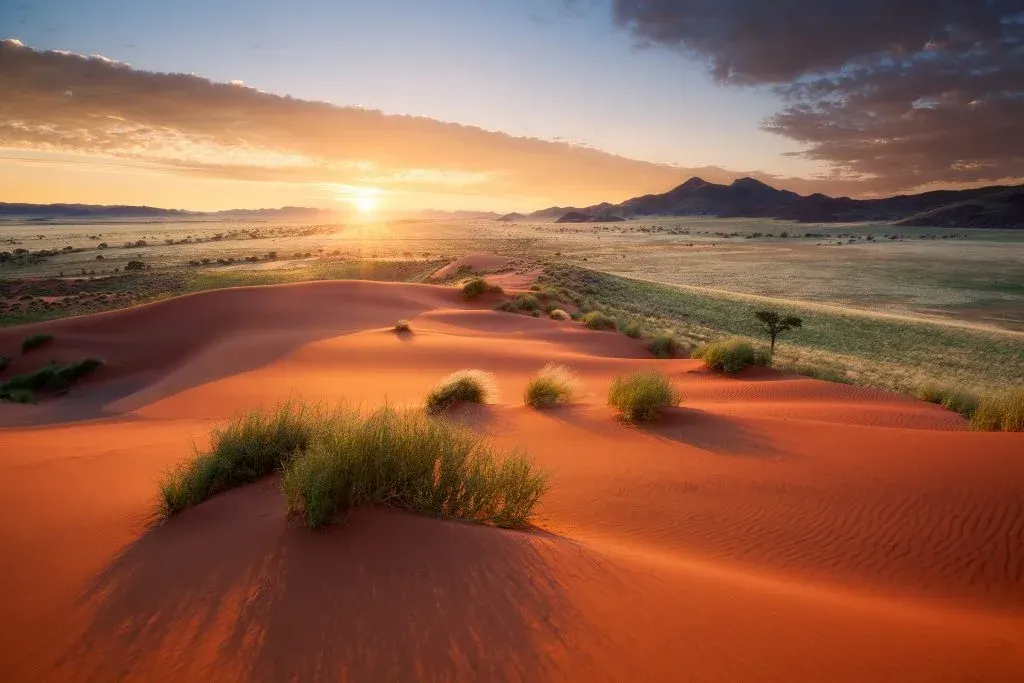 Dorob National Park