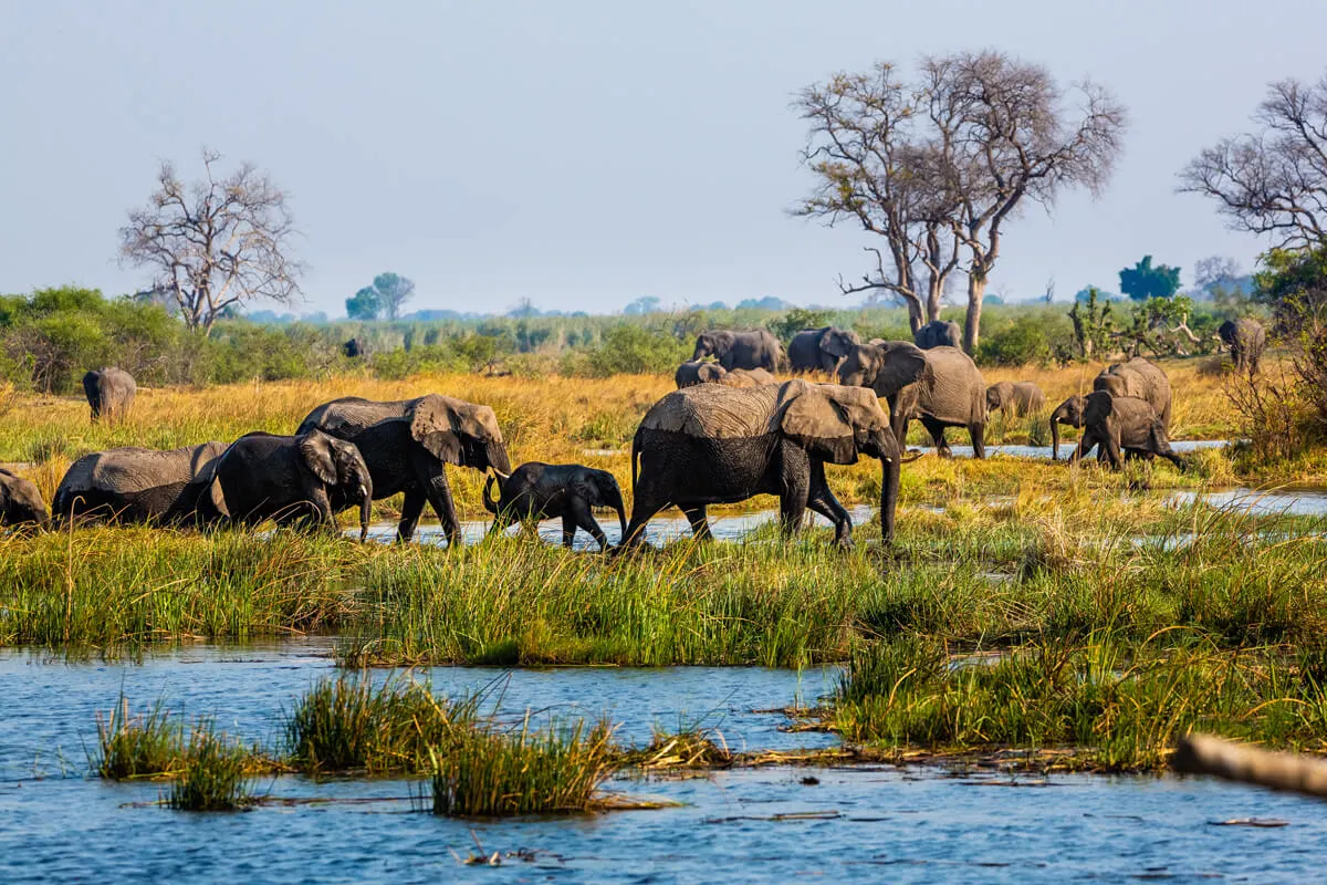 Mudumu National Park
