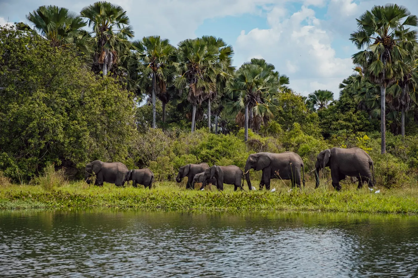 Majete Wildlife Reserve