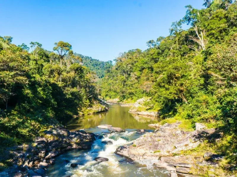Ranomafana National Park