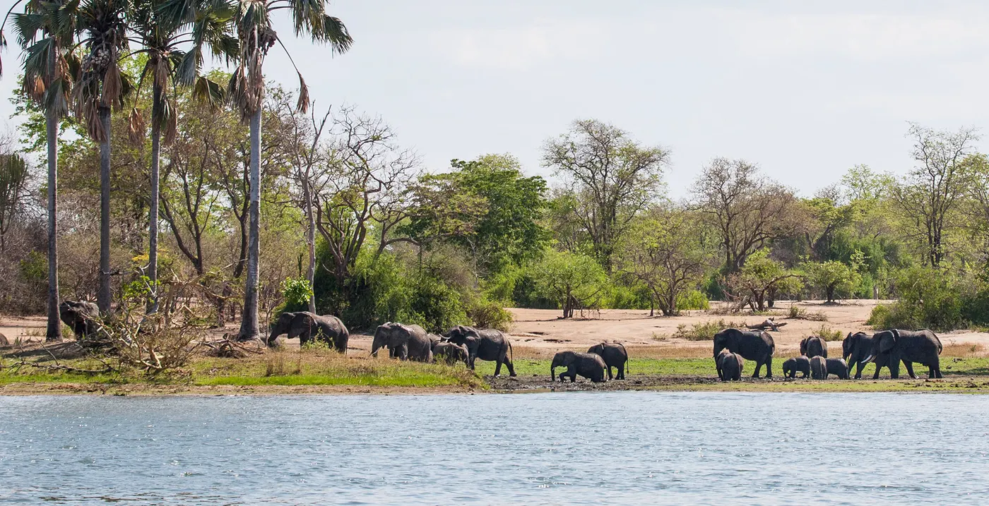 Liwonde National Park