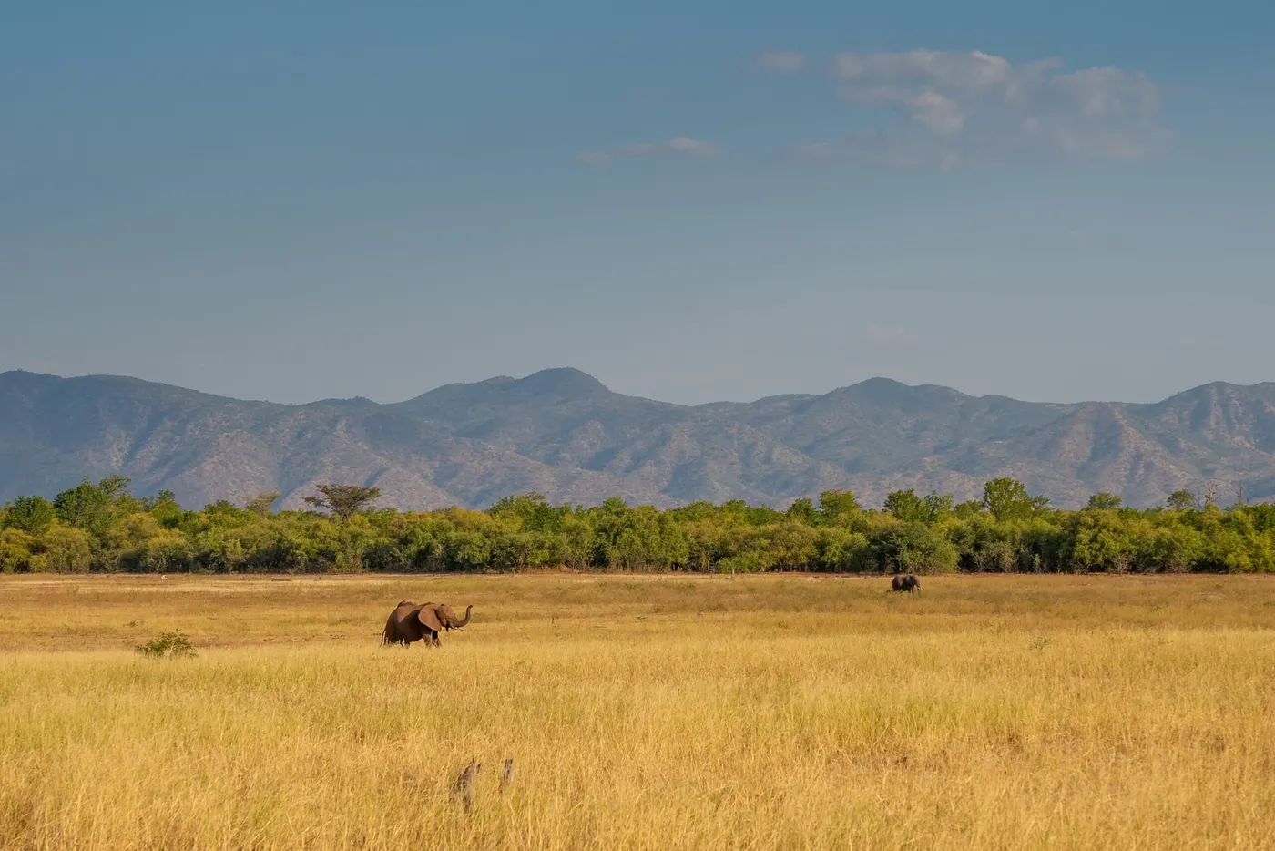 Matusadona National Park