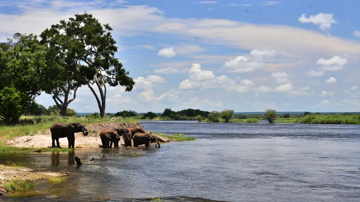 Zambezi National Park
