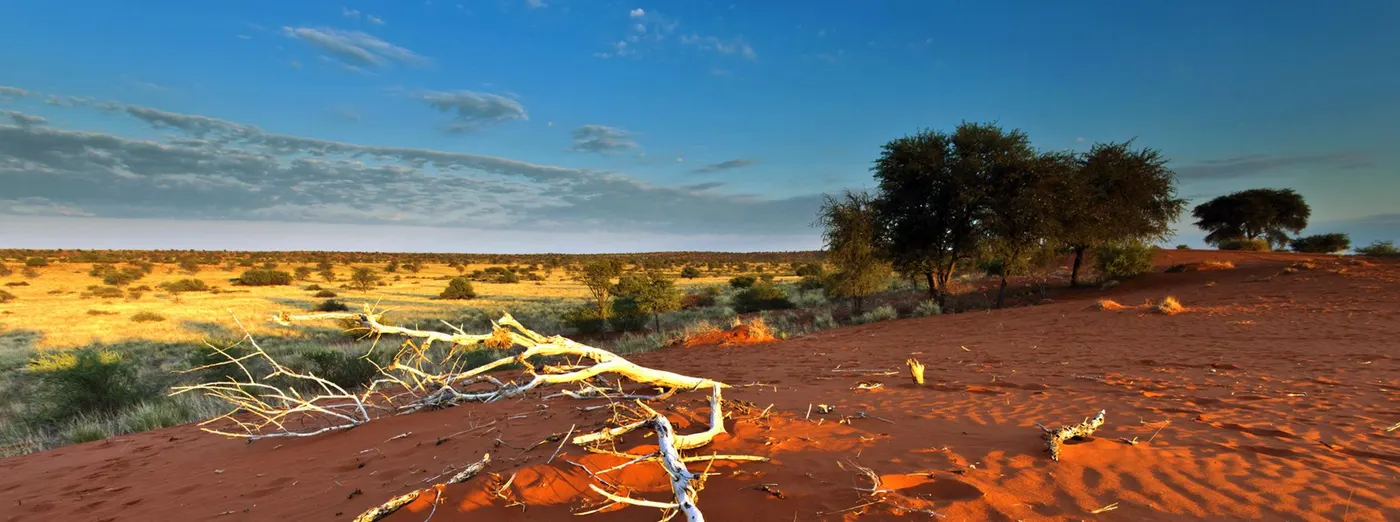 Kgalagadi Transfrontier Park