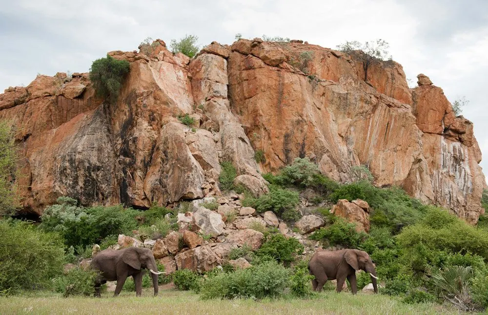 Mapungubwe National Park