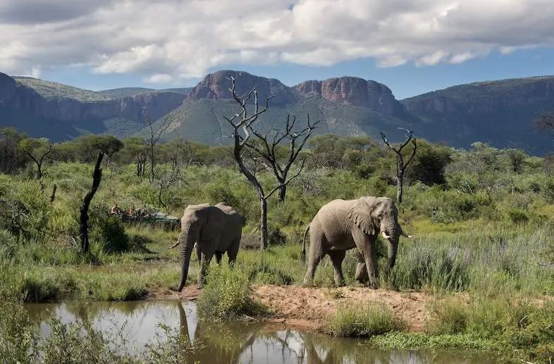 Marakele National Park