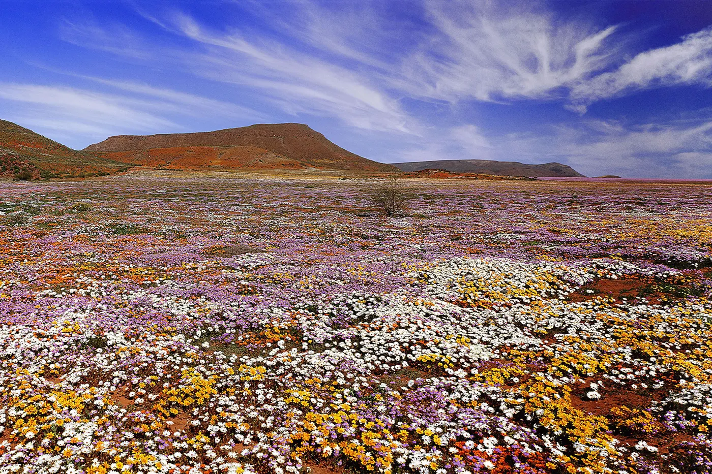 Namaqua National Park