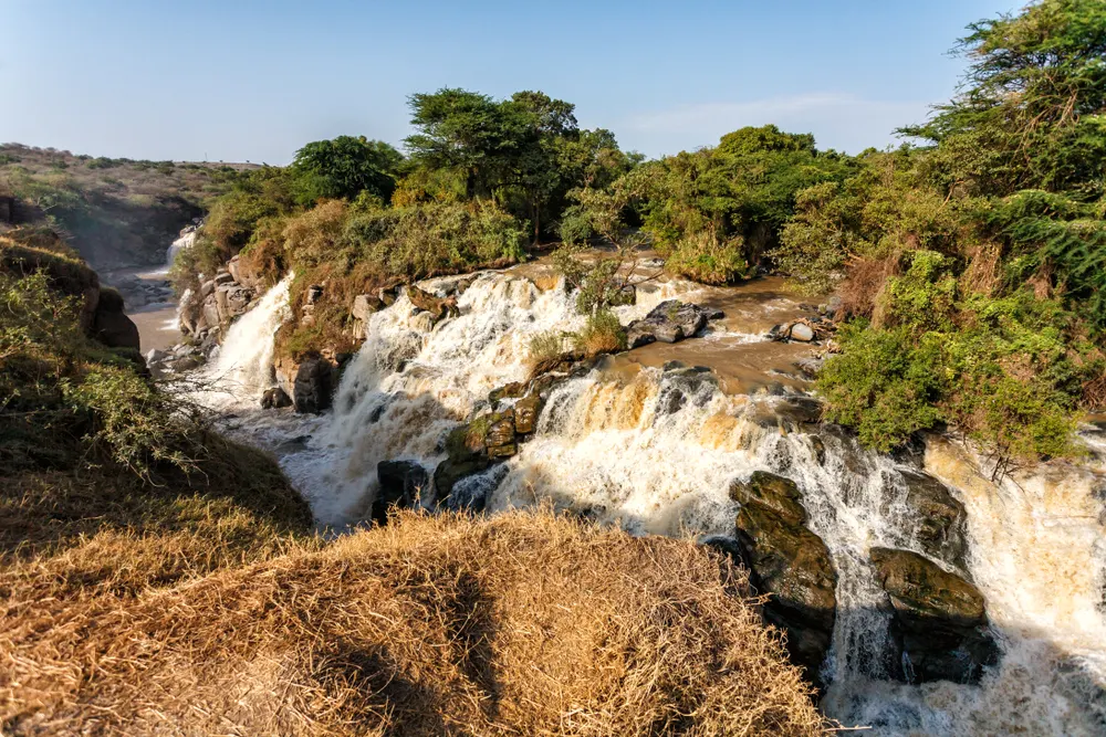 Arsi Mountains National Park