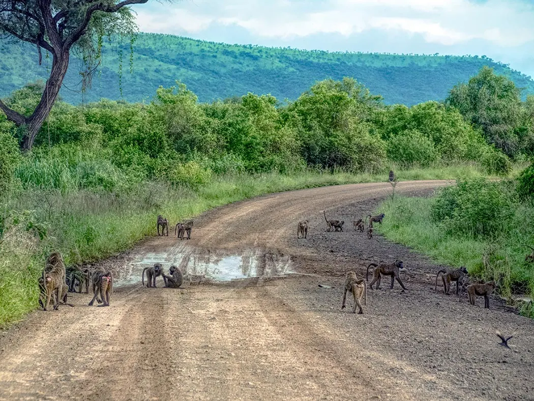 Mago National Park