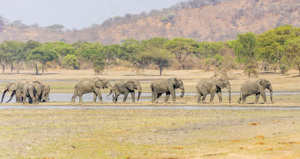 Kasungu National Park
