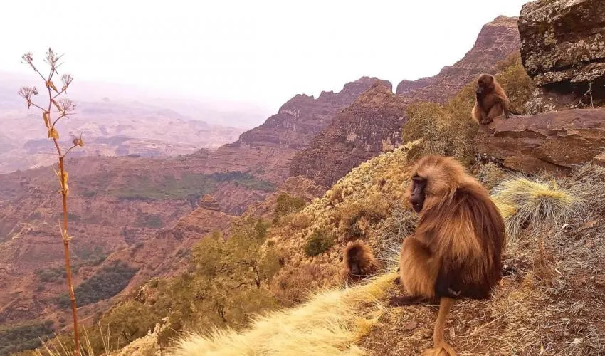 Yangudi Rassa National Park
