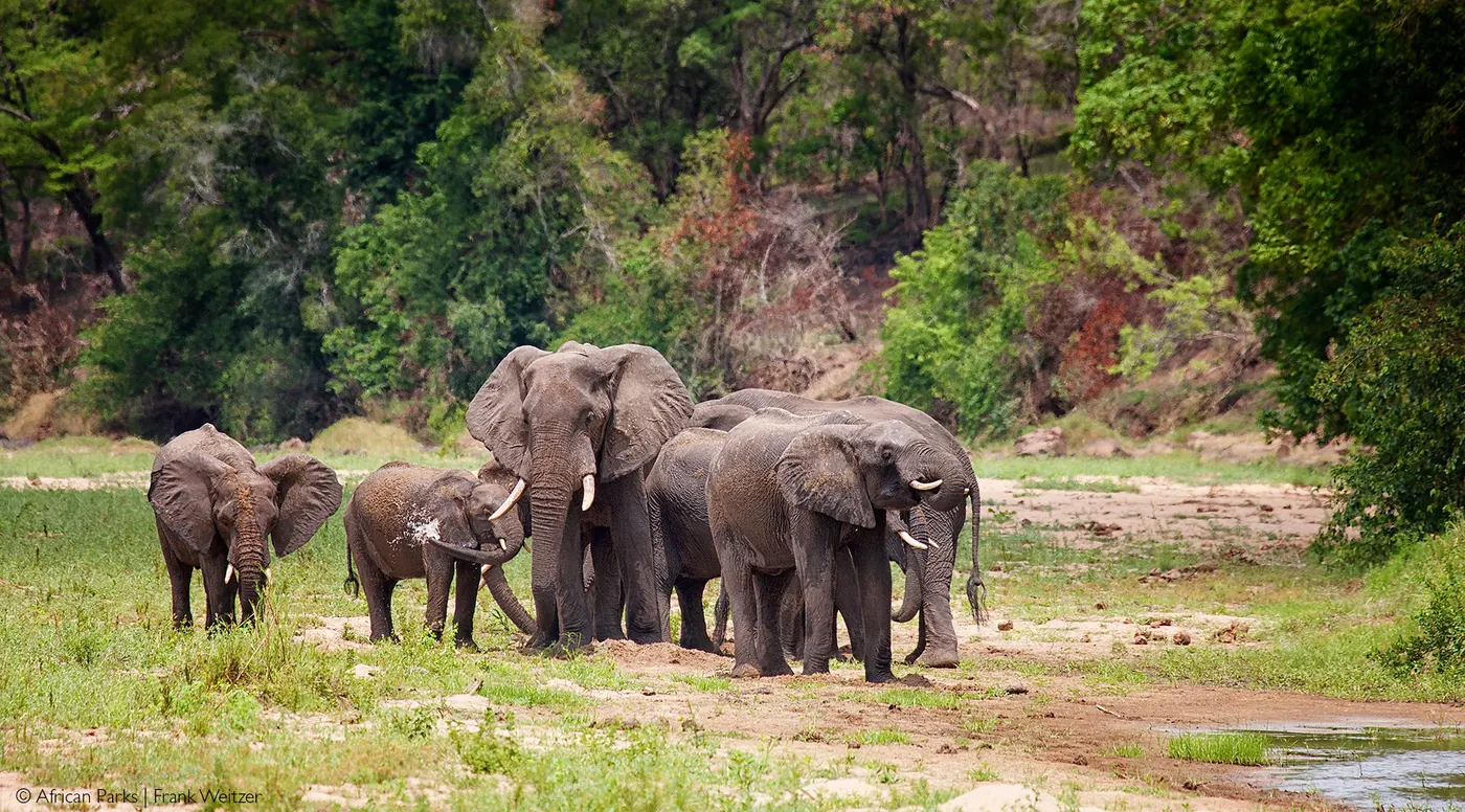 Nkhotakota Wildlife Reserve
