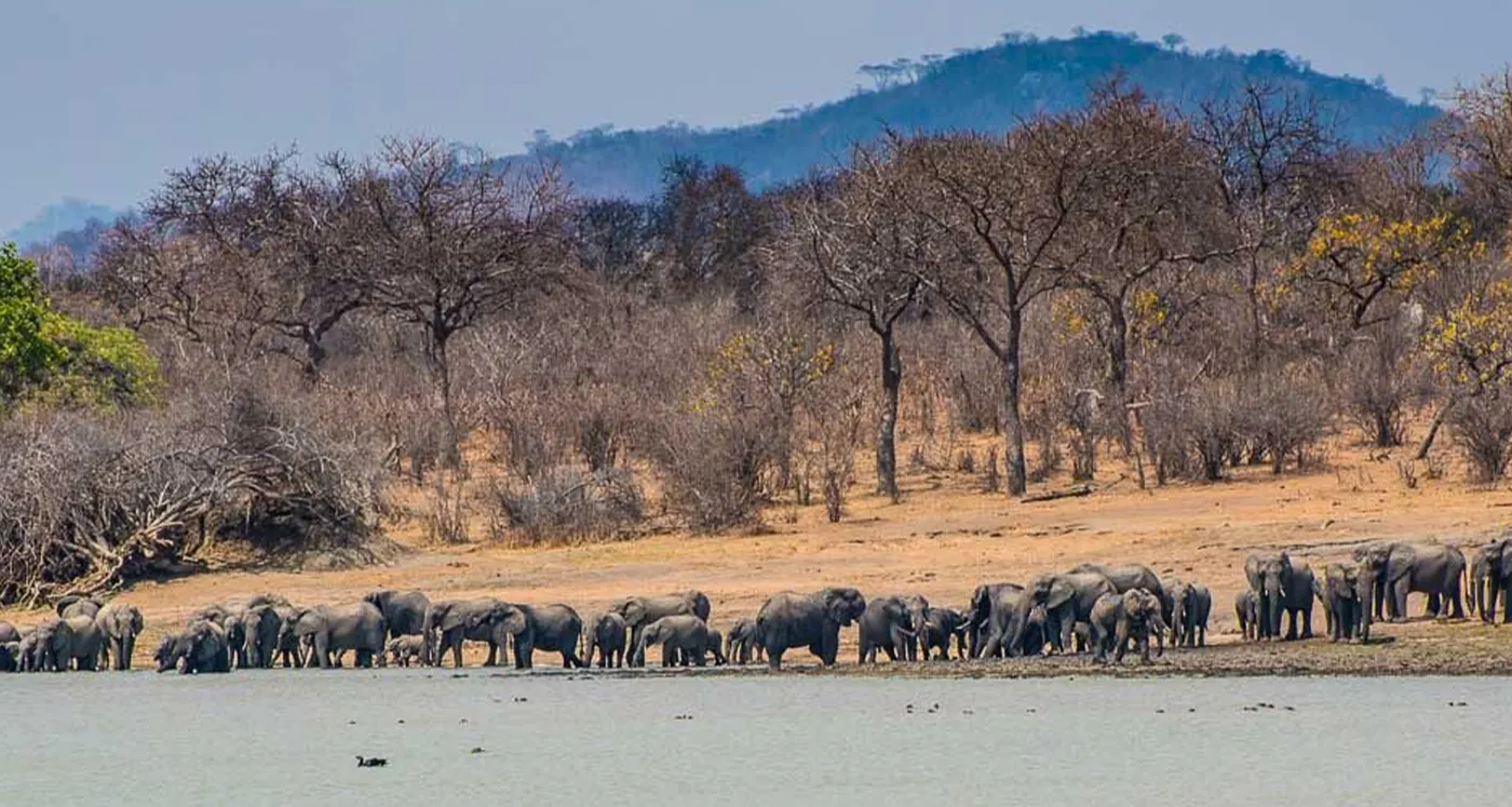 Vwaza Marsh Wildlife Reserve