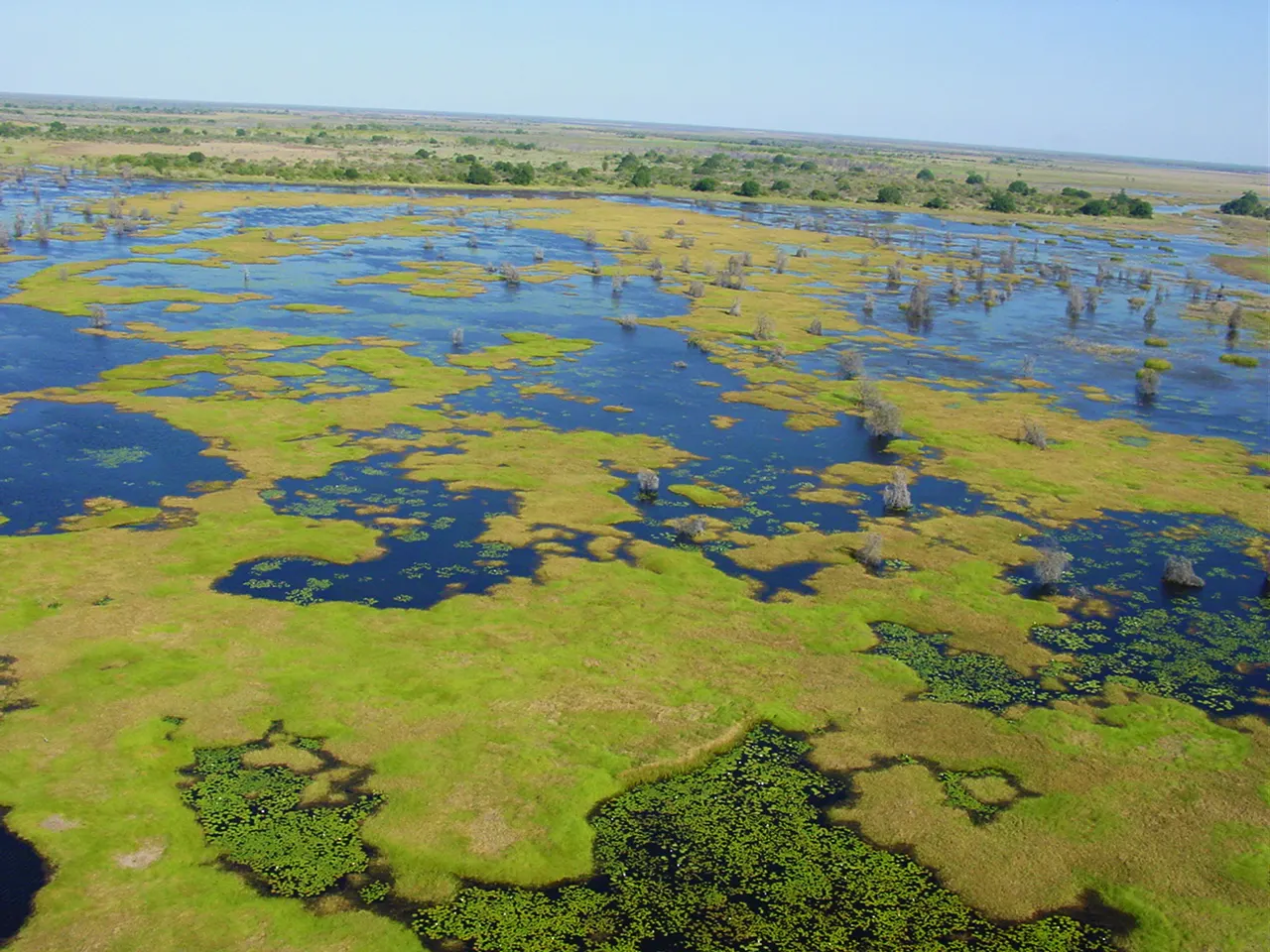 Banhine National Park