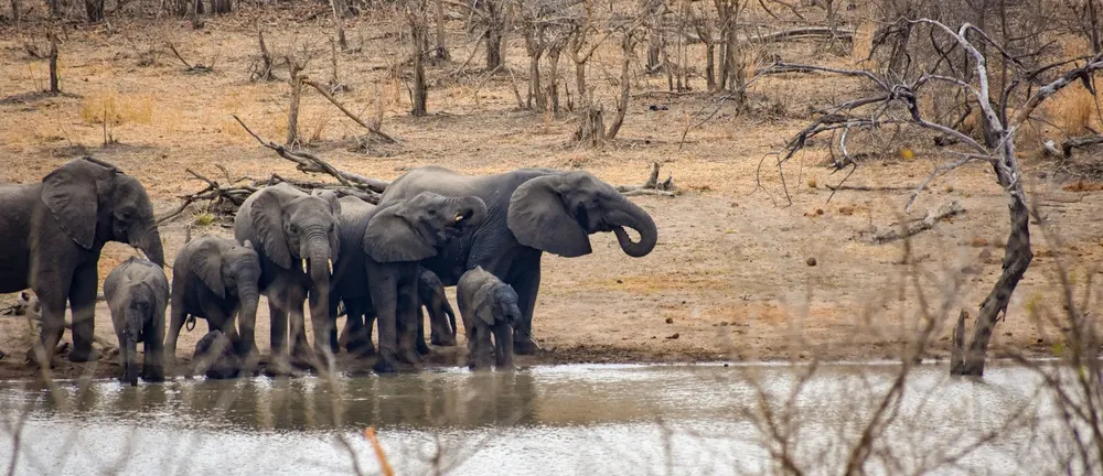 Magoe National Park