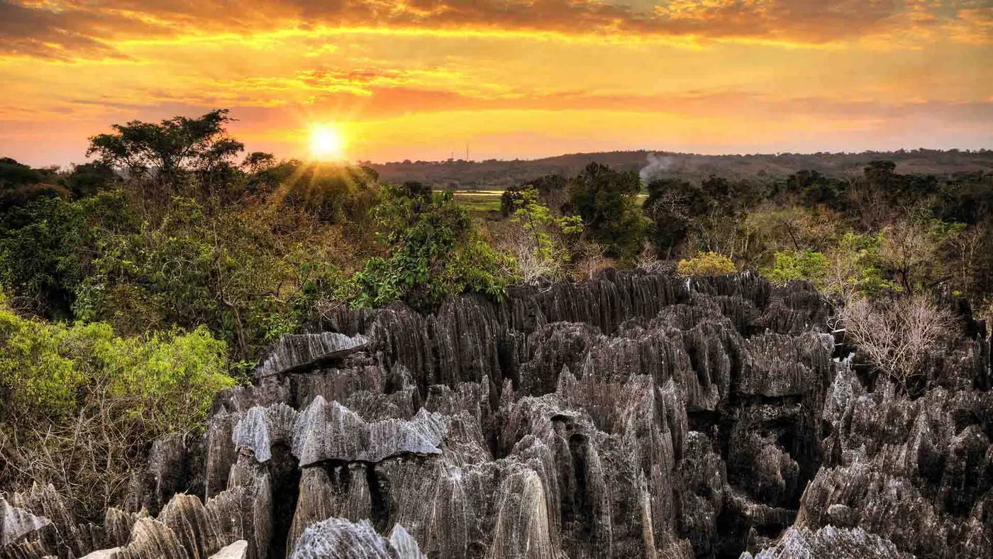Andohahela National Park