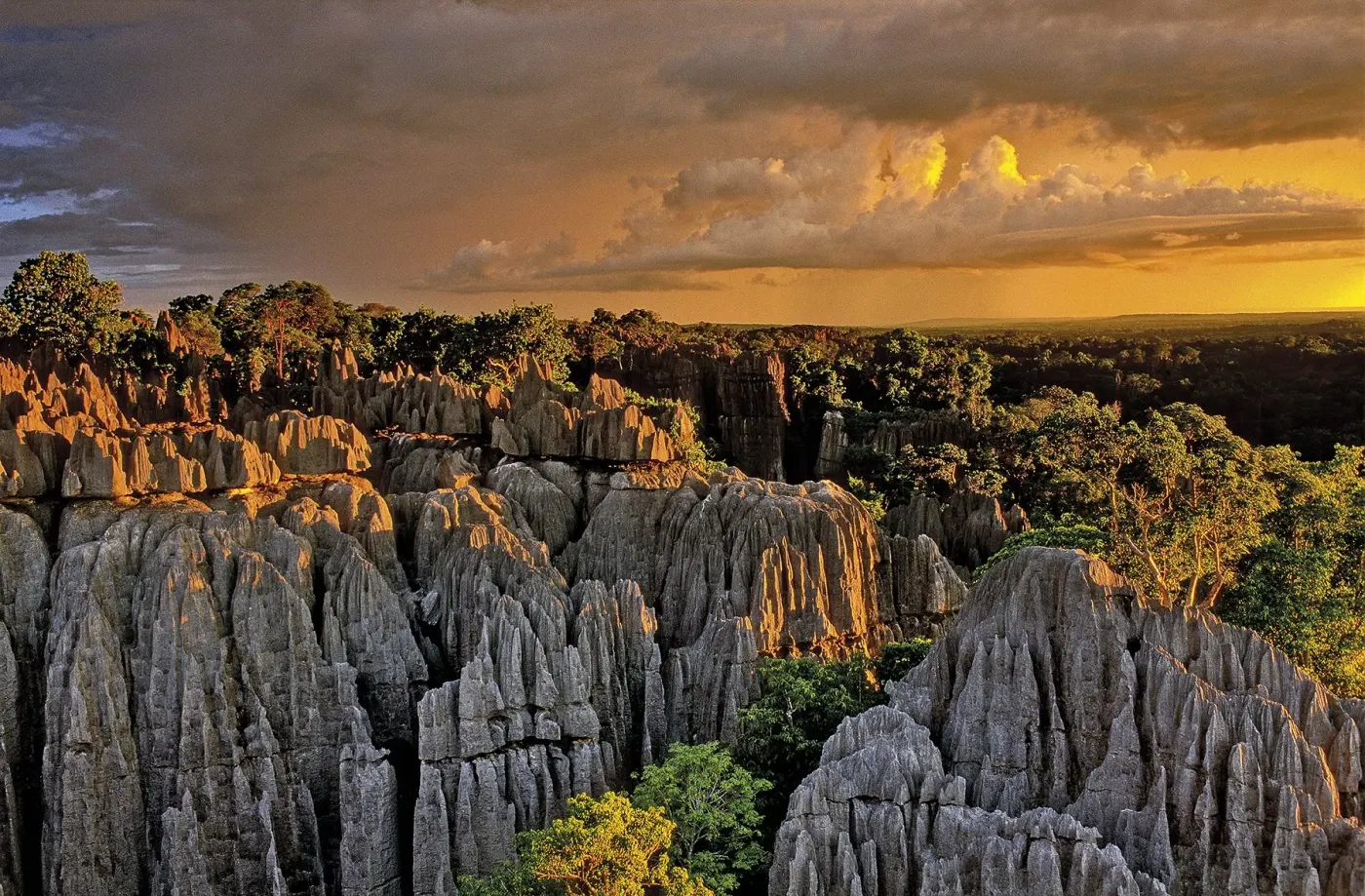 Tsingy de Bemaraha National Park