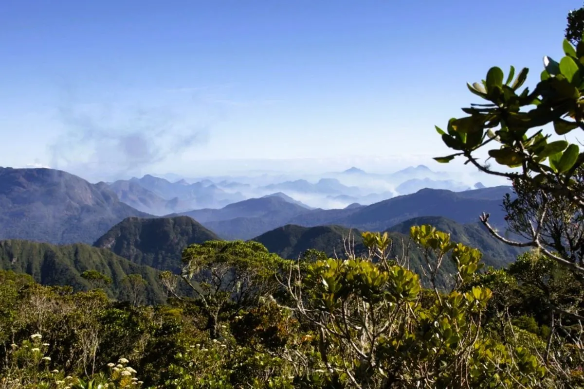 Marojejy National Park