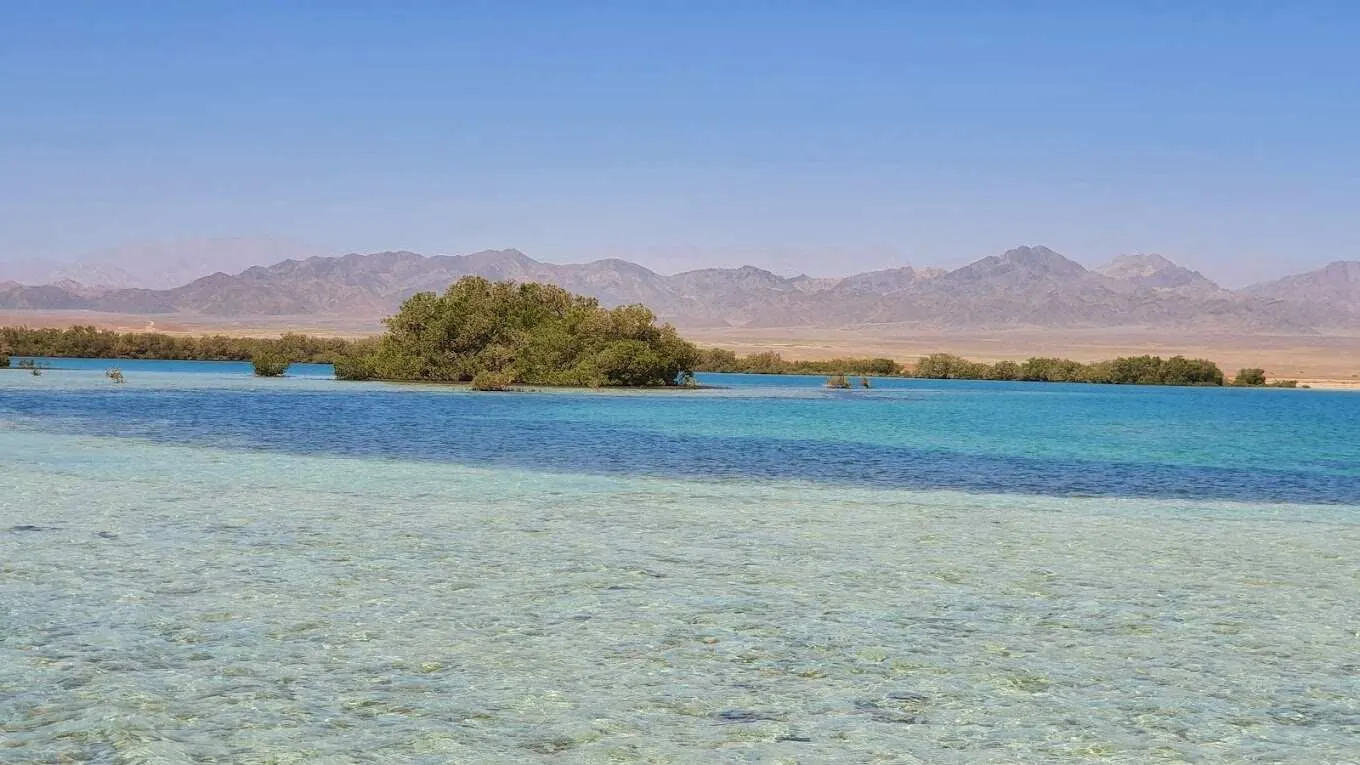 Nabq Protected Area