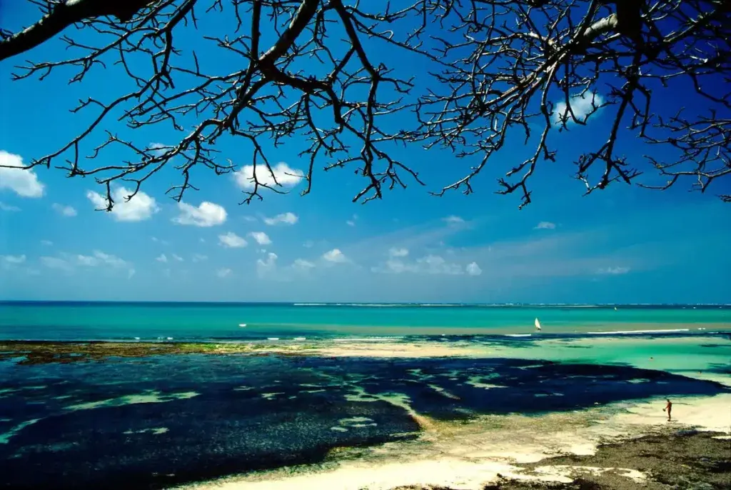 Mombasa Marine National Park