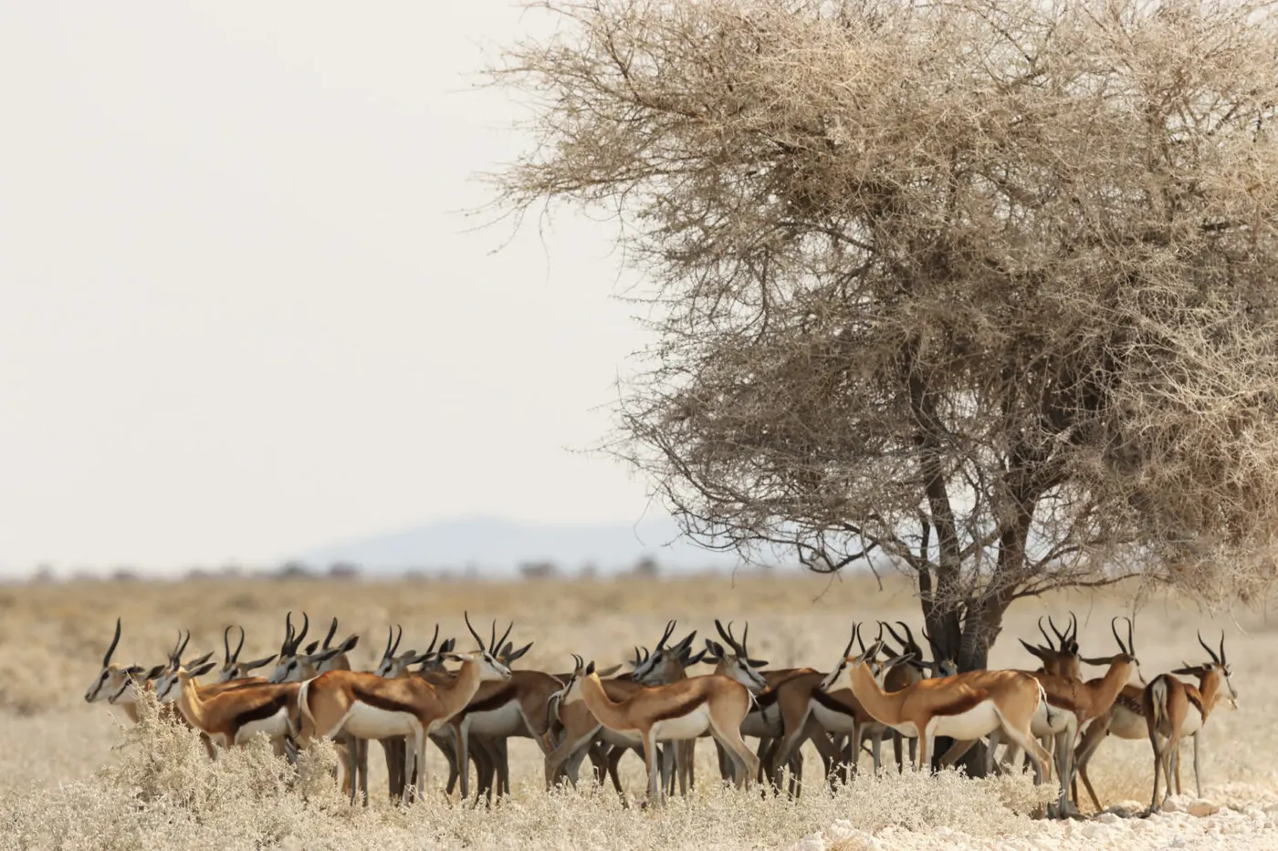 Sibiloi National Park