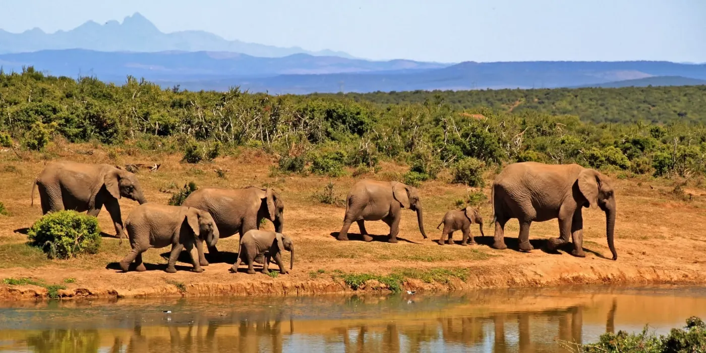 Marsabit National Park
