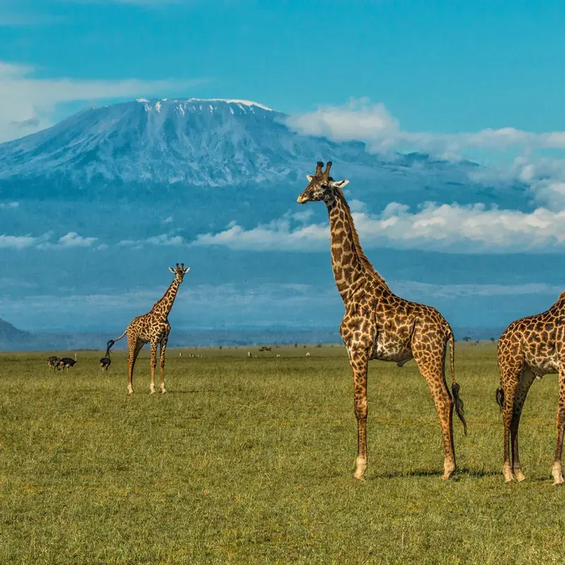 Ol Donyo Sabuk National Park